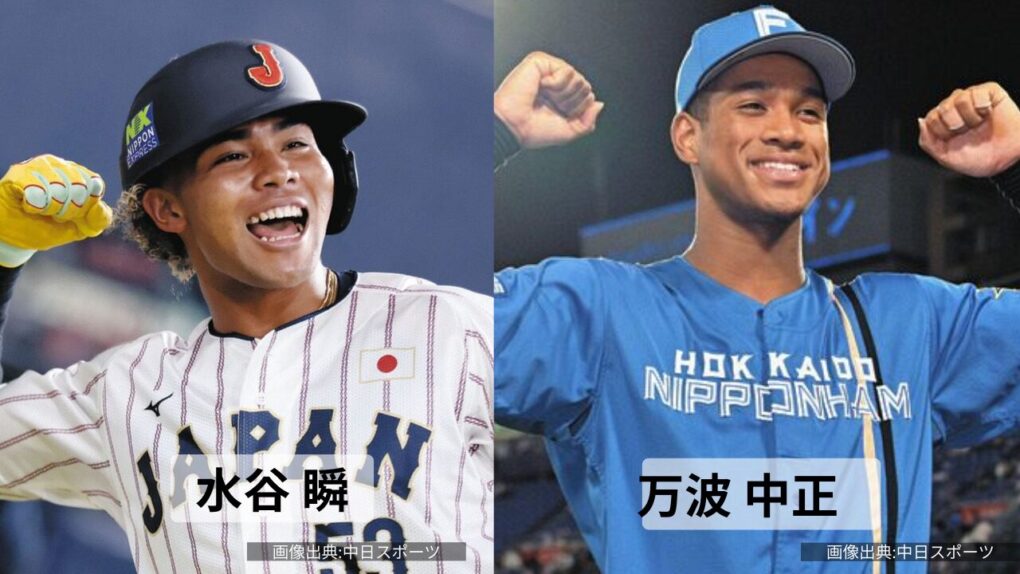 水谷瞬選手と万波中正選手の比較画像