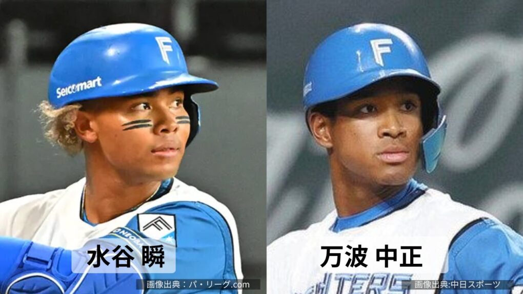 水谷瞬選手と万波中正選手の比較画像